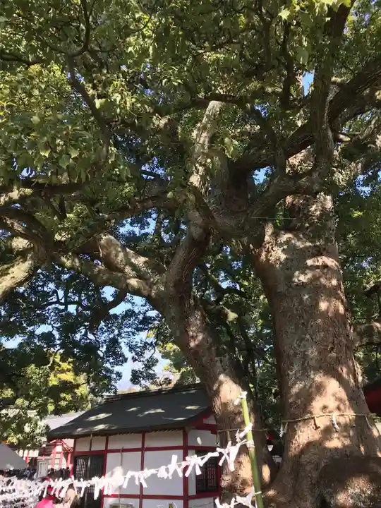 春日神社(大分県)