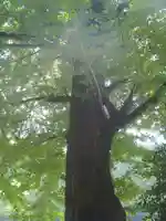 漆原神社(岐阜県)