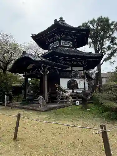 観音寺（世田谷山観音寺）の{uncategorized: "未分類", other: "その他", undefined: "問題あり", building: "その他建物", grave: "お墓", sacred_gate: "鳥居", guardian: "狛犬", statue: "像", buddha: "仏像", history: "歴史", nature: "自然", garden: "庭園", animal: "動物", pagoda: "塔", temizu: "手水舎", mountain_gate: "山門・神門", sanctuary: "本殿・本堂", subordinate: "末社・摂社", art: "芸術", scenery: "景色", jizo: "地蔵", ema: "絵馬", goshuin: "御朱印", omikuji: "おみくじ", items: "授与品その他", amulet: "お守り", goshuincho: "御朱印帳", eats: "食事", festival: "お祭り", votive_dance: "神楽", shichigosan: "七五三参", wedding: "結婚式", experience: "体験その他", initially: "初詣", around: "周辺", anti_infection: "感染症対策"}