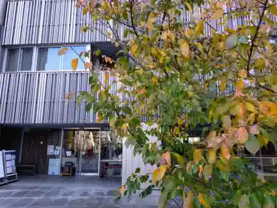 赤城神社(東京都)