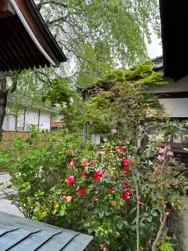 長光寺(長野県)