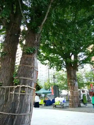 北海道神宮頓宮の庭園