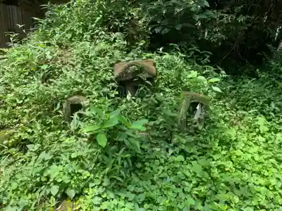 諏訪神社の自然