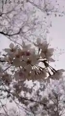 冠稲荷神社(群馬県)