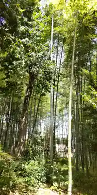 向日神社(京都府)