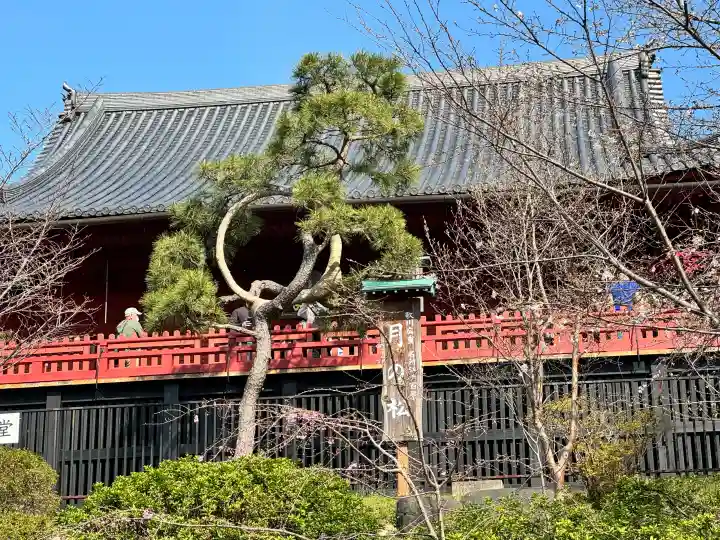 清水観音堂の{uncategorized: "未分類", other: "その他", undefined: "問題あり", building: "その他建物", grave: "お墓", sacred_gate: "鳥居", guardian: "狛犬", statue: "像", buddha: "仏像", history: "歴史", nature: "自然", garden: "庭園", animal: "動物", pagoda: "塔", temizu: "手水舎", mountain_gate: "山門・神門", sanctuary: "本殿・本堂", subordinate: "末社・摂社", art: "芸術", scenery: "景色", jizo: "地蔵", ema: "絵馬", goshuin: "御朱印", omikuji: "おみくじ", items: "授与品その他", amulet: "お守り", goshuincho: "御朱印帳", eats: "食事", festival: "お祭り", votive_dance: "神楽", shichigosan: "七五三参", wedding: "結婚式", experience: "体験その他", initially: "初詣", around: "周辺", anti_infection: "感染症対策"}