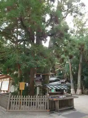 大神神社(奈良県)