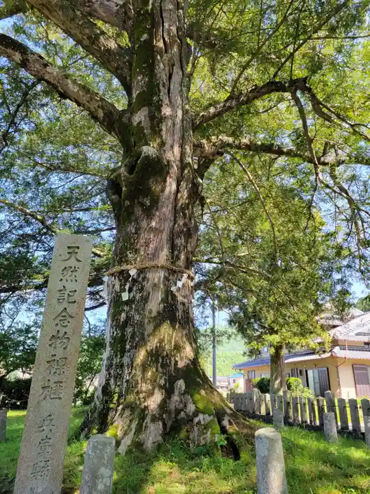磯宮八幡神社(兵庫県)