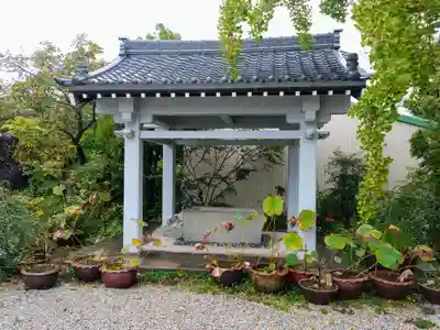 弘願坊の手水舎