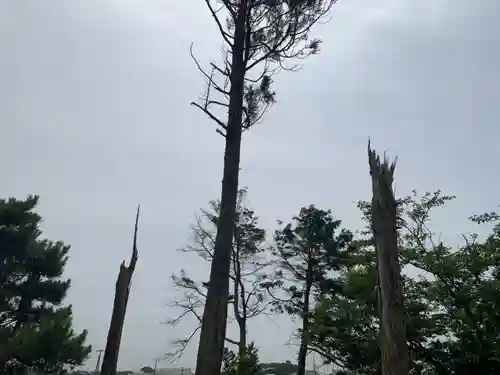 八幡神社の自然