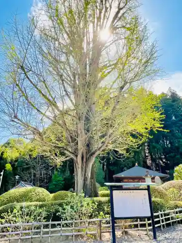 江畔寺の{uncategorized: "未分類", other: "その他", undefined: "問題あり", building: "その他建物", grave: "お墓", sacred_gate: "鳥居", guardian: "狛犬", statue: "像", buddha: "仏像", history: "歴史", nature: "自然", garden: "庭園", animal: "動物", pagoda: "塔", temizu: "手水舎", mountain_gate: "山門・神門", sanctuary: "本殿・本堂", subordinate: "末社・摂社", art: "芸術", scenery: "景色", jizo: "地蔵", ema: "絵馬", goshuin: "御朱印", omikuji: "おみくじ", items: "授与品その他", amulet: "お守り", goshuincho: "御朱印帳", eats: "食事", festival: "お祭り", votive_dance: "神楽", shichigosan: "七五三参", wedding: "結婚式", experience: "体験その他", initially: "初詣", around: "周辺", anti_infection: "感染症対策"}