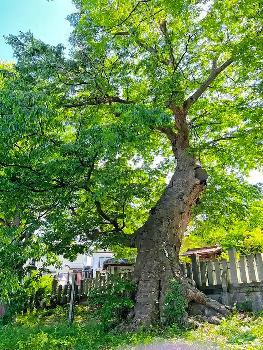 湯福神社(長野県)