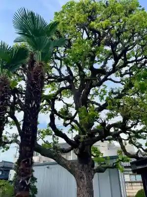 西光寺(茨城県)