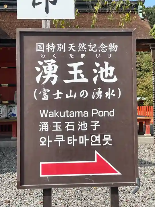 富士山本宮浅間大社(静岡県)