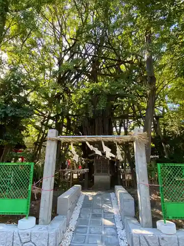 稲毛神社の鳥居