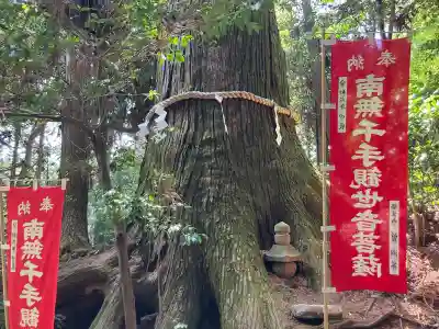 塩船観音寺の{uncategorized: "未分類", other: "その他", undefined: "問題あり", building: "その他建物", grave: "お墓", sacred_gate: "鳥居", guardian: "狛犬", statue: "像", buddha: "仏像", history: "歴史", nature: "自然", garden: "庭園", animal: "動物", pagoda: "塔", temizu: "手水舎", mountain_gate: "山門・神門", sanctuary: "本殿・本堂", subordinate: "末社・摂社", art: "芸術", scenery: "景色", jizo: "地蔵", ema: "絵馬", goshuin: "御朱印", omikuji: "おみくじ", items: "授与品その他", amulet: "お守り", goshuincho: "御朱印帳", eats: "食事", festival: "お祭り", votive_dance: "神楽", shichigosan: "七五三参", wedding: "結婚式", experience: "体験その他", initially: "初詣", around: "周辺", anti_infection: "感染症対策"}