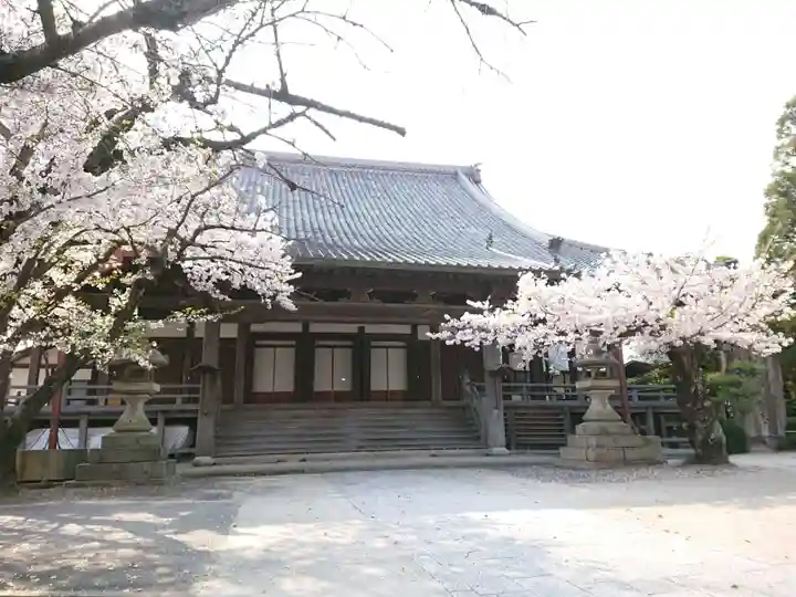 勝鬘寺の本殿・本堂