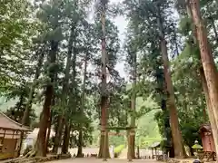 室生龍穴神社の建物その他