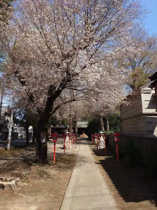 氷川神社(埼玉県)