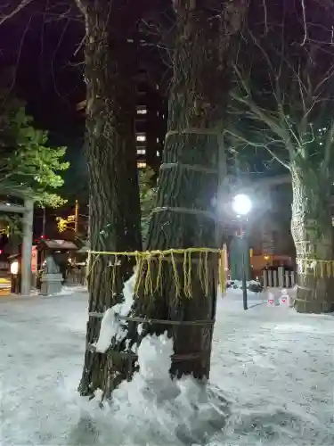 北海道神宮頓宮の自然