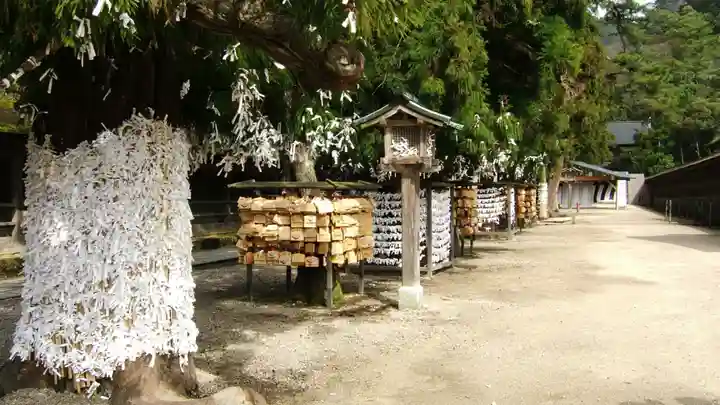 出雲大社(島根県)