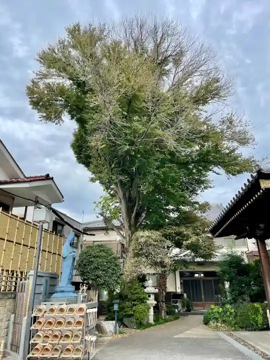自性院(東京都)