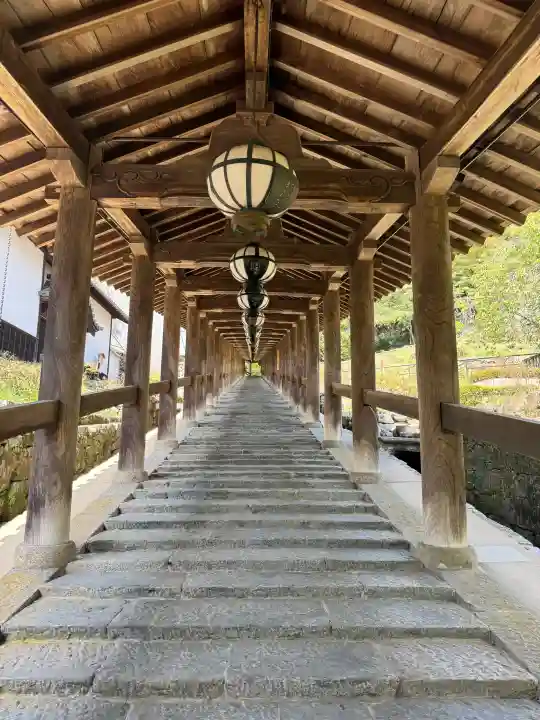 長谷寺の{uncategorized: "未分類", other: "その他", undefined: "問題あり", building: "その他建物", grave: "お墓", sacred_gate: "鳥居", guardian: "狛犬", statue: "像", buddha: "仏像", history: "歴史", nature: "自然", garden: "庭園", animal: "動物", pagoda: "塔", temizu: "手水舎", mountain_gate: "山門・神門", sanctuary: "本殿・本堂", subordinate: "末社・摂社", art: "芸術", scenery: "景色", jizo: "地蔵", ema: "絵馬", goshuin: "御朱印", omikuji: "おみくじ", items: "授与品その他", amulet: "お守り", goshuincho: "御朱印帳", eats: "食事", festival: "お祭り", votive_dance: "神楽", shichigosan: "七五三参", wedding: "結婚式", experience: "体験その他", initially: "初詣", around: "周辺", anti_infection: "感染症対策"}