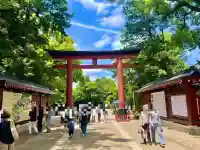 武蔵一宮氷川神社(埼玉県)