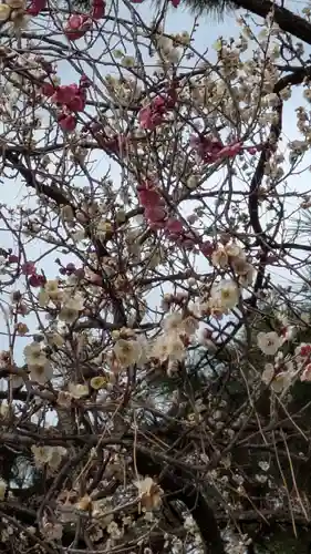 白雲神社(京都府)