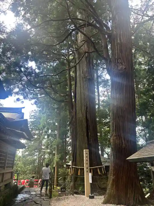 鷲子山上神社(栃木県)