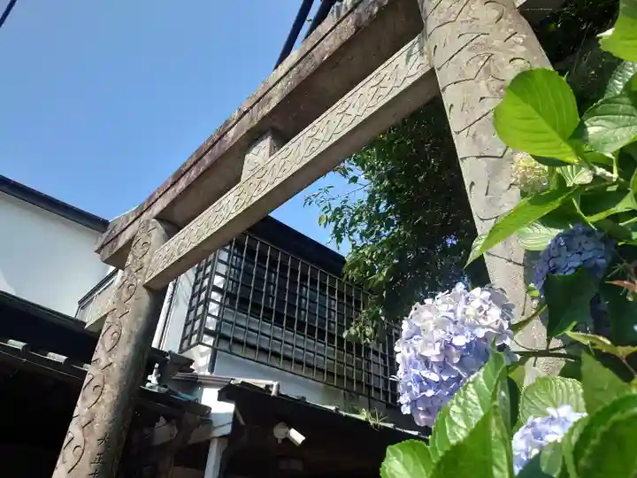 江島神社の鳥居