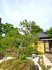 医王院の庭園