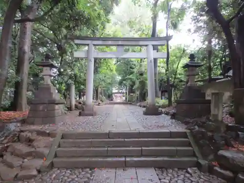 代々木八幡宮の鳥居