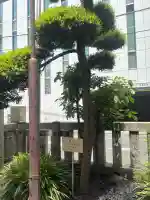 笠間稲荷神社 東京別社の{uncategorized: "未分類", other: "その他", undefined: "問題あり", building: "その他建物", grave: "お墓", sacred_gate: "鳥居", guardian: "狛犬", statue: "像", buddha: "仏像", history: "歴史", nature: "自然", garden: "庭園", animal: "動物", pagoda: "塔", temizu: "手水舎", mountain_gate: "山門・神門", sanctuary: "本殿・本堂", subordinate: "末社・摂社", art: "芸術", scenery: "景色", jizo: "地蔵", ema: "絵馬", goshuin: "御朱印", omikuji: "おみくじ", items: "授与品その他", amulet: "お守り", goshuincho: "御朱印帳", eats: "食事", festival: "お祭り", votive_dance: "神楽", shichigosan: "七五三参", wedding: "結婚式", experience: "体験その他", initially: "初詣", around: "周辺", anti_infection: "感染症対策"}