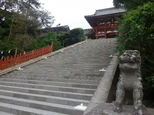 鶴岡八幡宮の狛犬