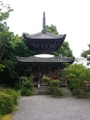 穴太寺の塔