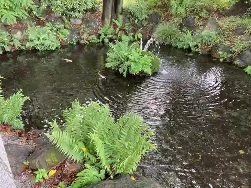 秩父今宮神社(埼玉県)