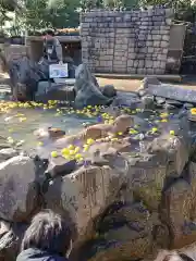 大室山浅間神社の動物