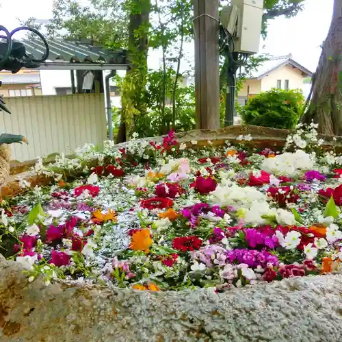 立志神社の手水舎