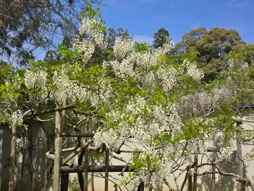 歌泉堂（春日大社神苑萬葉植物園内鎮座）(奈良県)