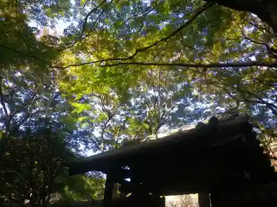 瑞泉寺のその他建物