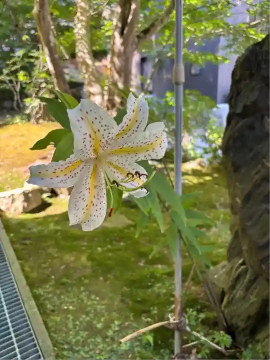 珍蔵寺 (山形県)