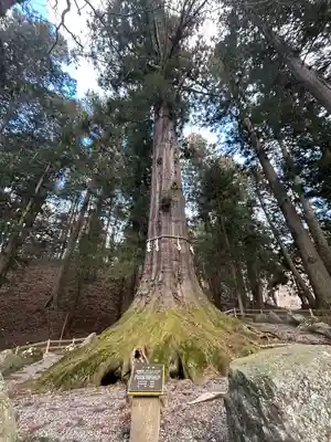 河口浅間神社(山梨県)