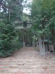 賀茂神社の鳥居