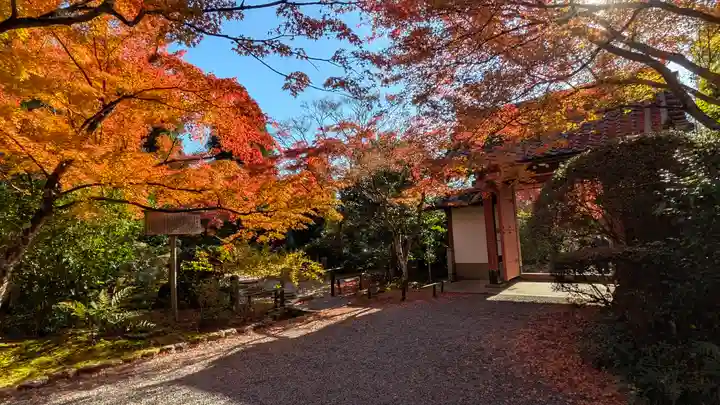 常照寺(京都府)