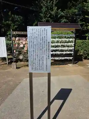諏訪神社(東京都)
