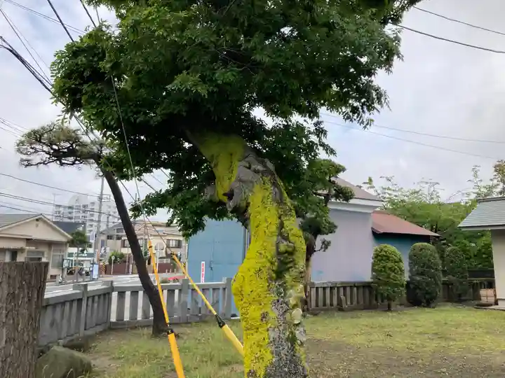 洲崎神社(神奈川県)
