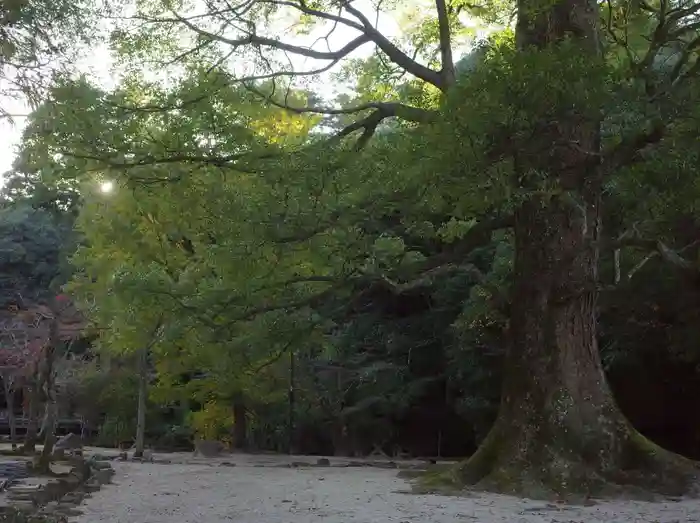 大元神社（厳島神社境外摂社）の建物その他