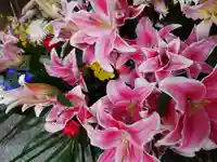 彌彦神社 (伊夜日子神社)の手水舎