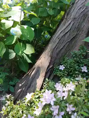 雲昌寺(秋田県)